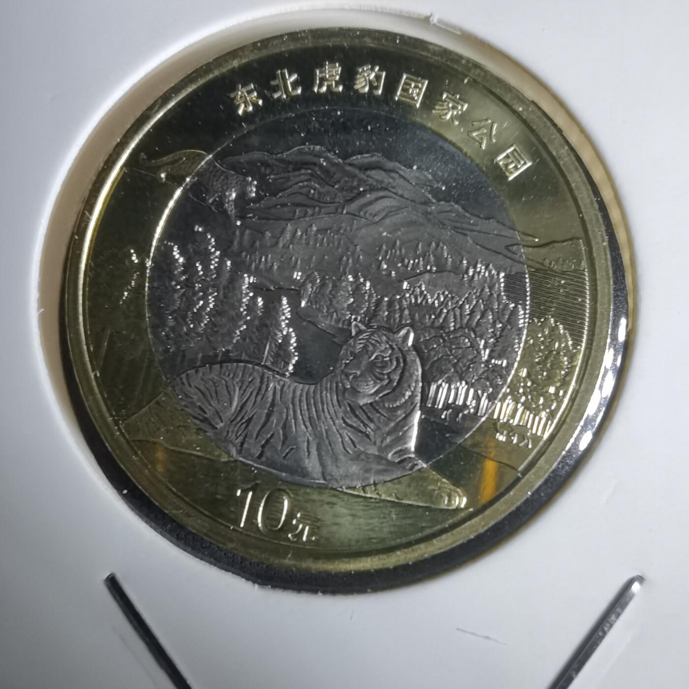 沼泽如烟--第1030场