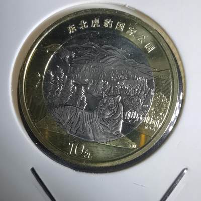 沼泽如烟--第1030场 - 2024年东北虎豹公园纪念币