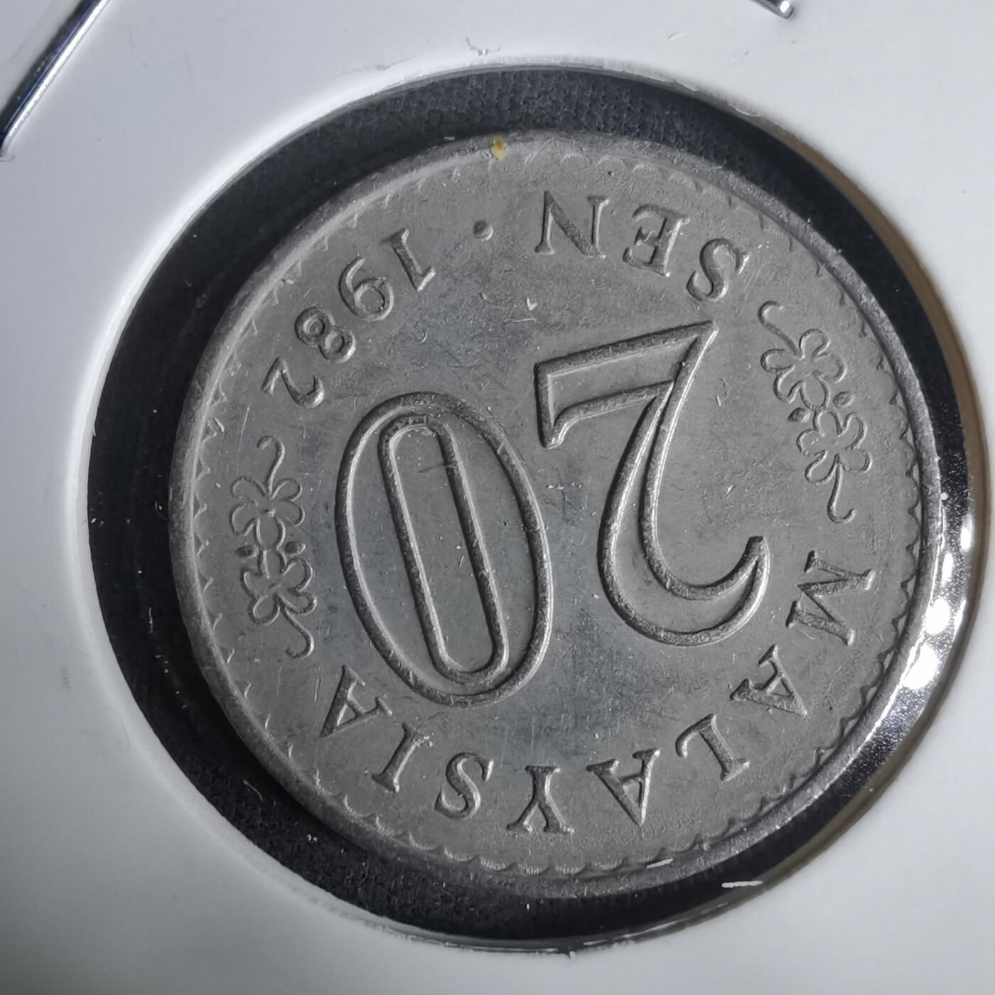 沼泽如烟--第1030场