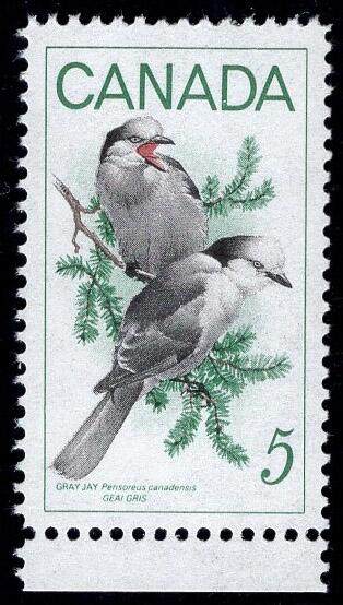 洪涛臻品批发群 精选邮票限时拍卖第1294期  - 加拿大 灰松鸦邮票 原胶润亮带边