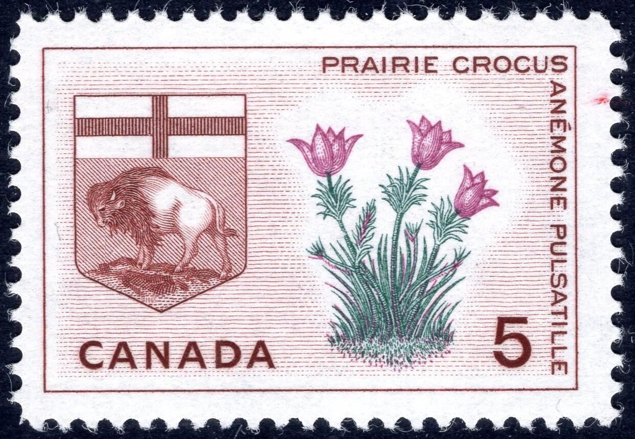 洪涛臻品批发群 精选邮票限时拍卖第1294期  加拿大1966年 草原番红花与马尼托巴省徽章 新票, 精美雕刻版, 原胶完美润亮