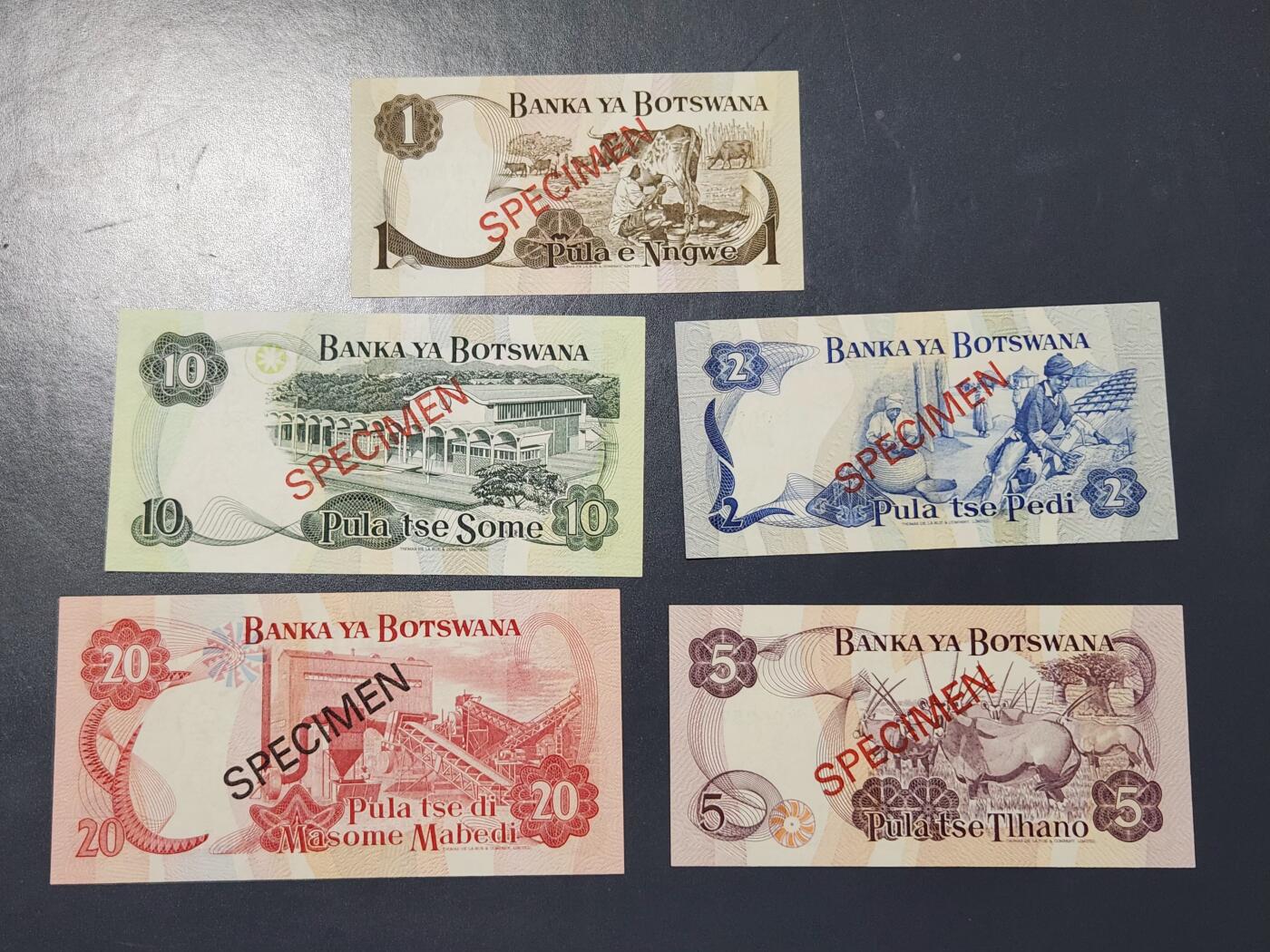 3月25号晚上8点 外国纸币自动截拍第45场