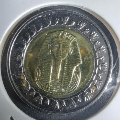 沼泽如烟--第1030场 - 埃及