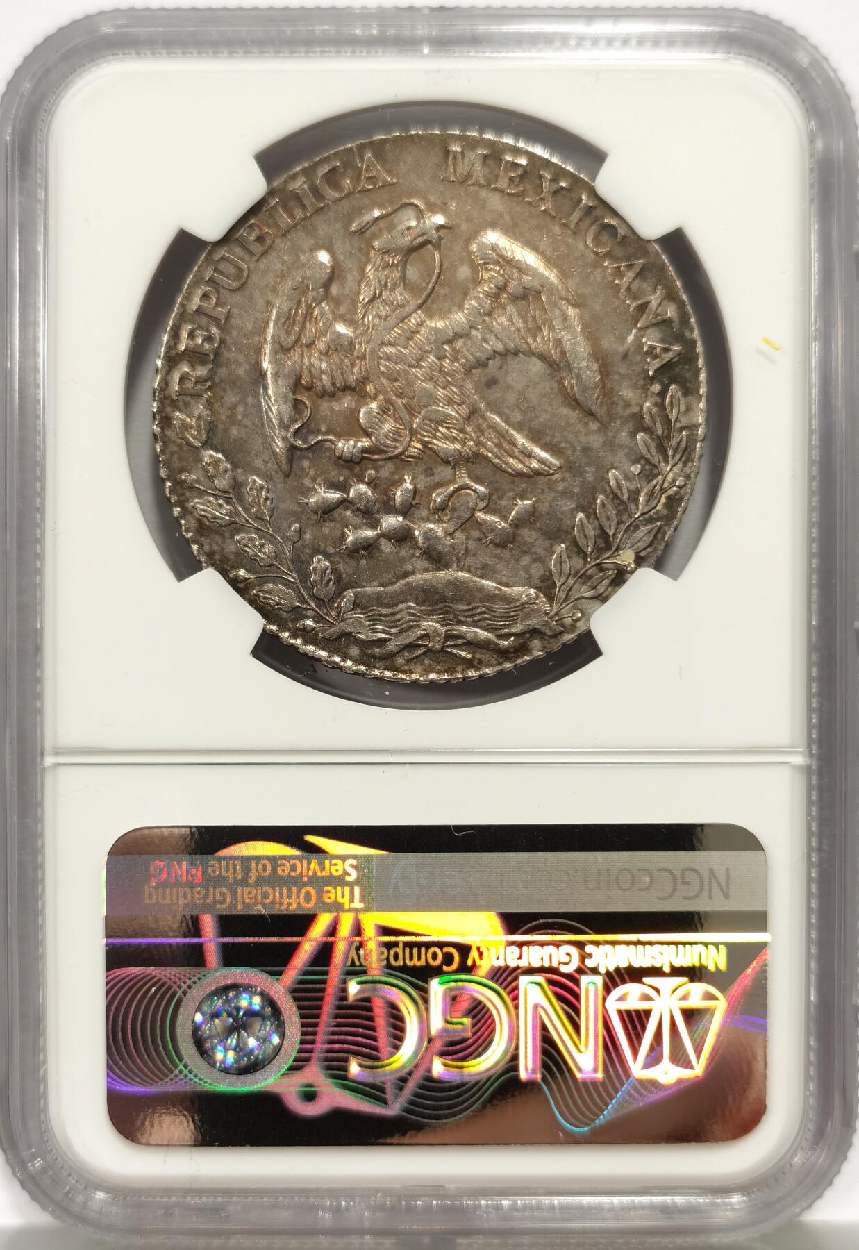 博洋堂“芳菲春韵”3月精品大拍专场暨第166期（全场包邮） NGC UNC 墨西哥1887MO MH版花边鹰洋 完全未使用