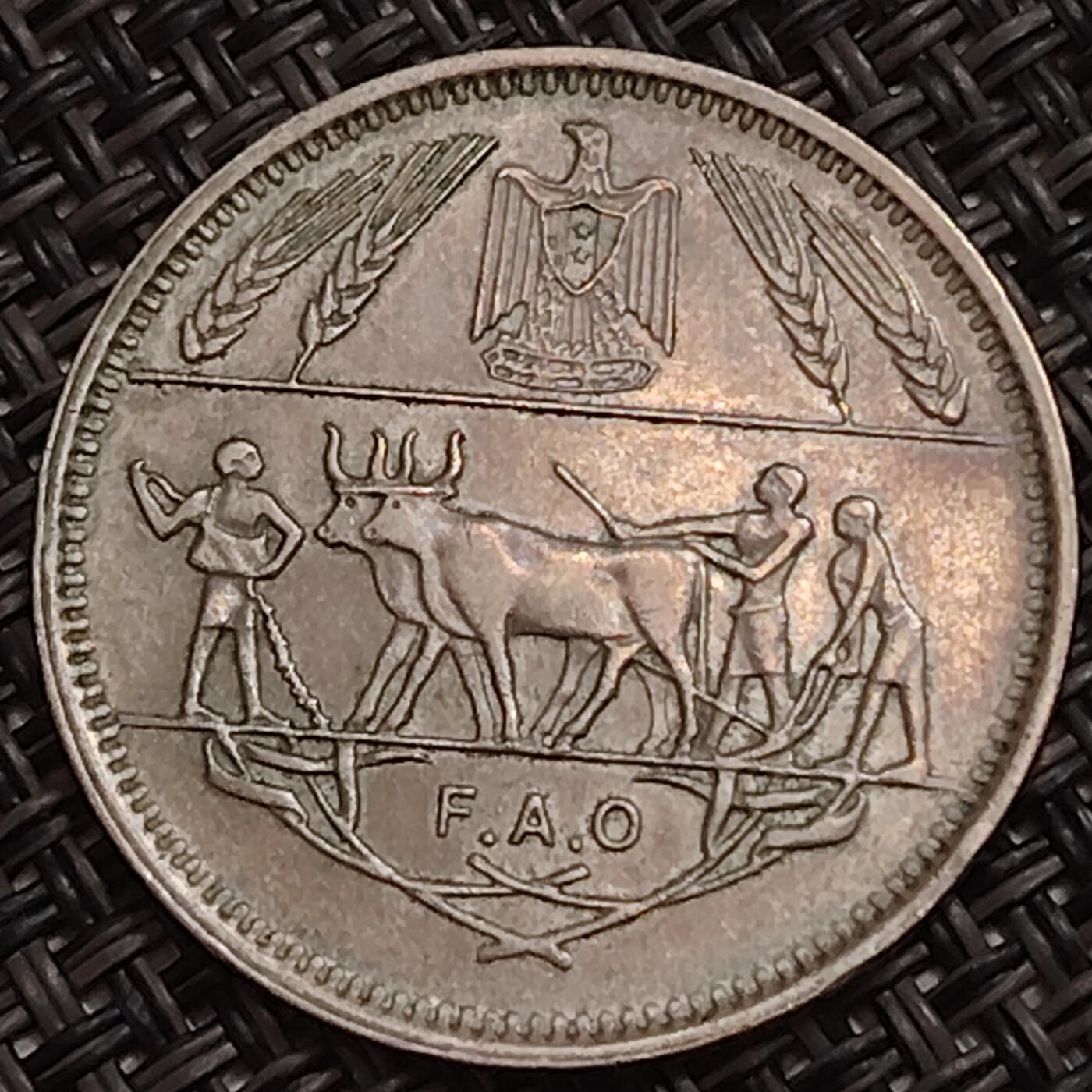 布加迪🐬～世界钱币(上海)🌾第 283 期 /  各国套币和散币 埃及🇪🇬