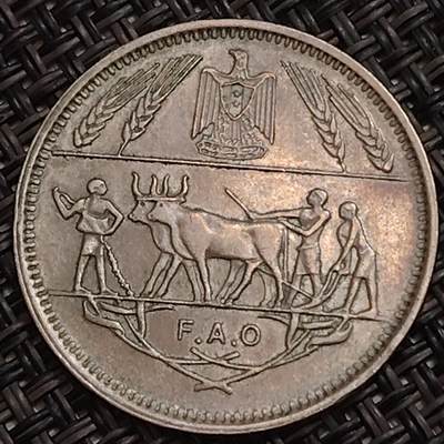 布加迪🐬～世界钱币(上海)🌾第 283 期 /  各国套币和散币 - 埃及🇪🇬 1970年 10皮阿斯特 FAO粮农组织纪念币