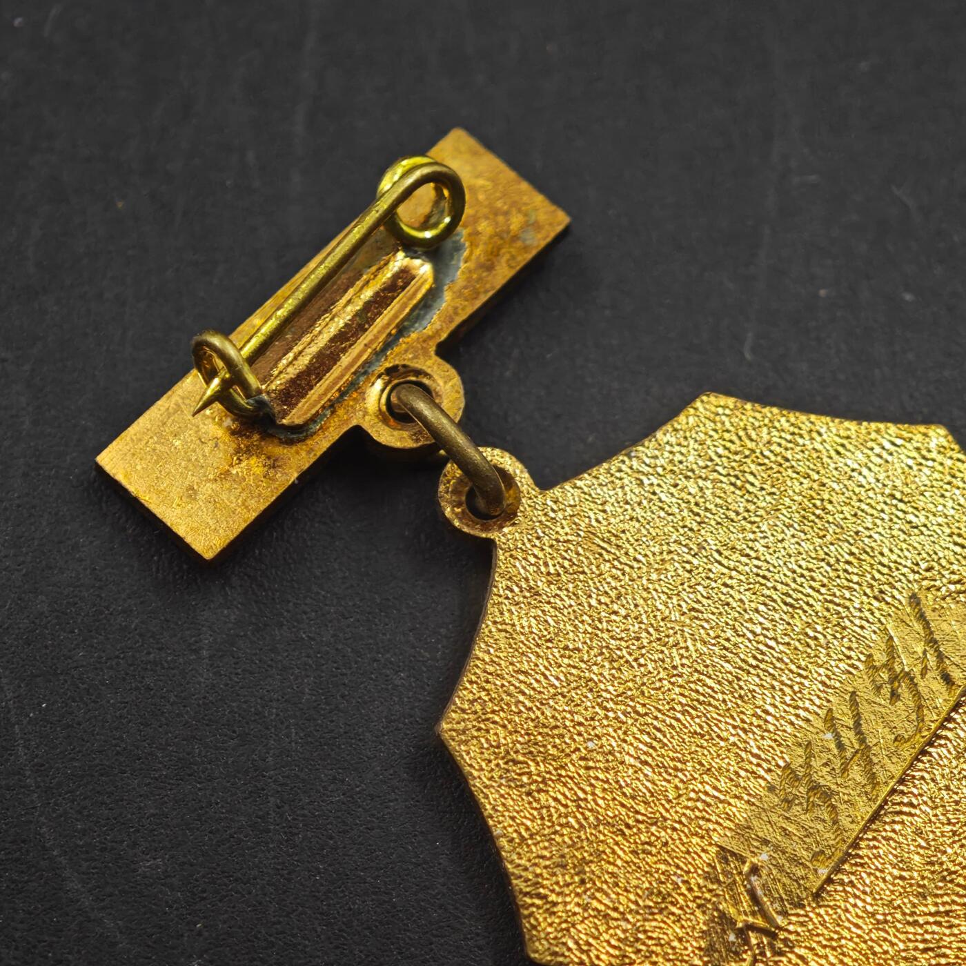 3月24日结束，成斌徽章钱币专场（明天继续更新）