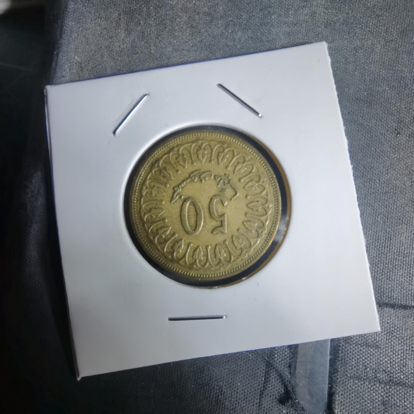 沼泽如烟--第1030场