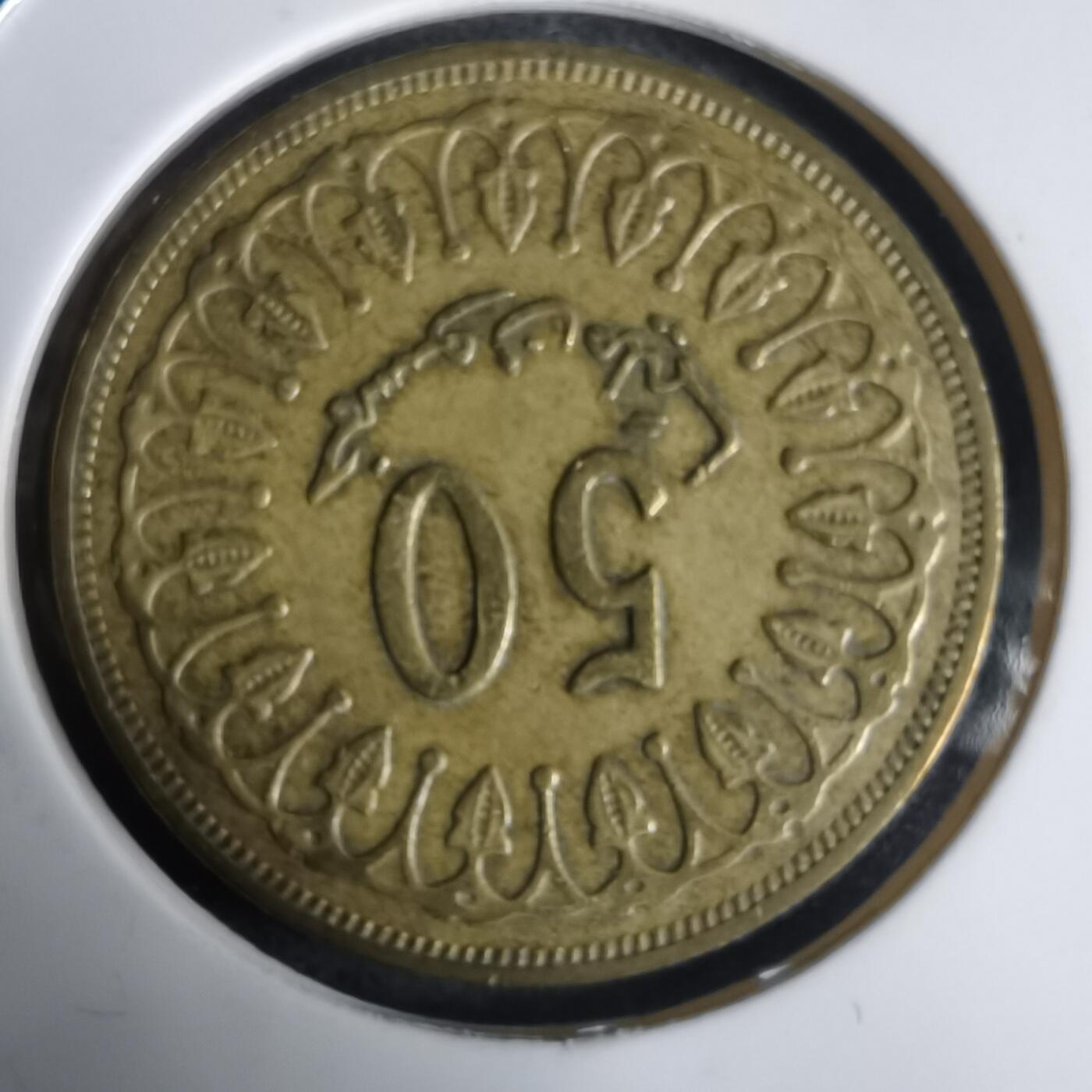 沼泽如烟--第1030场