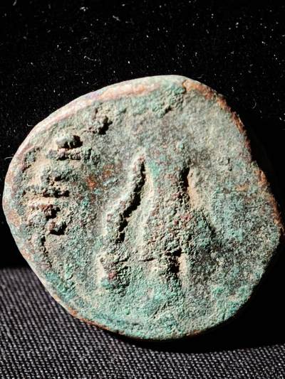 122期新疆红钱粟特钱币丝路钱币专场 - E丝路大铜币版式