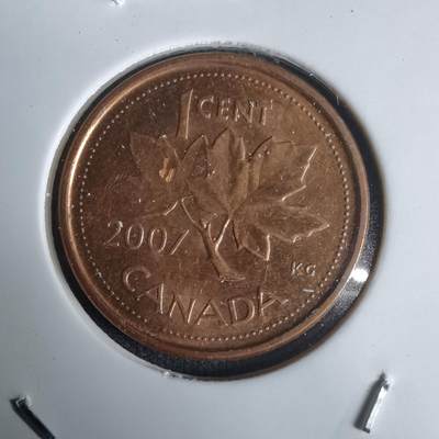 沼泽如烟--第1030场 - 加拿大2007年一分