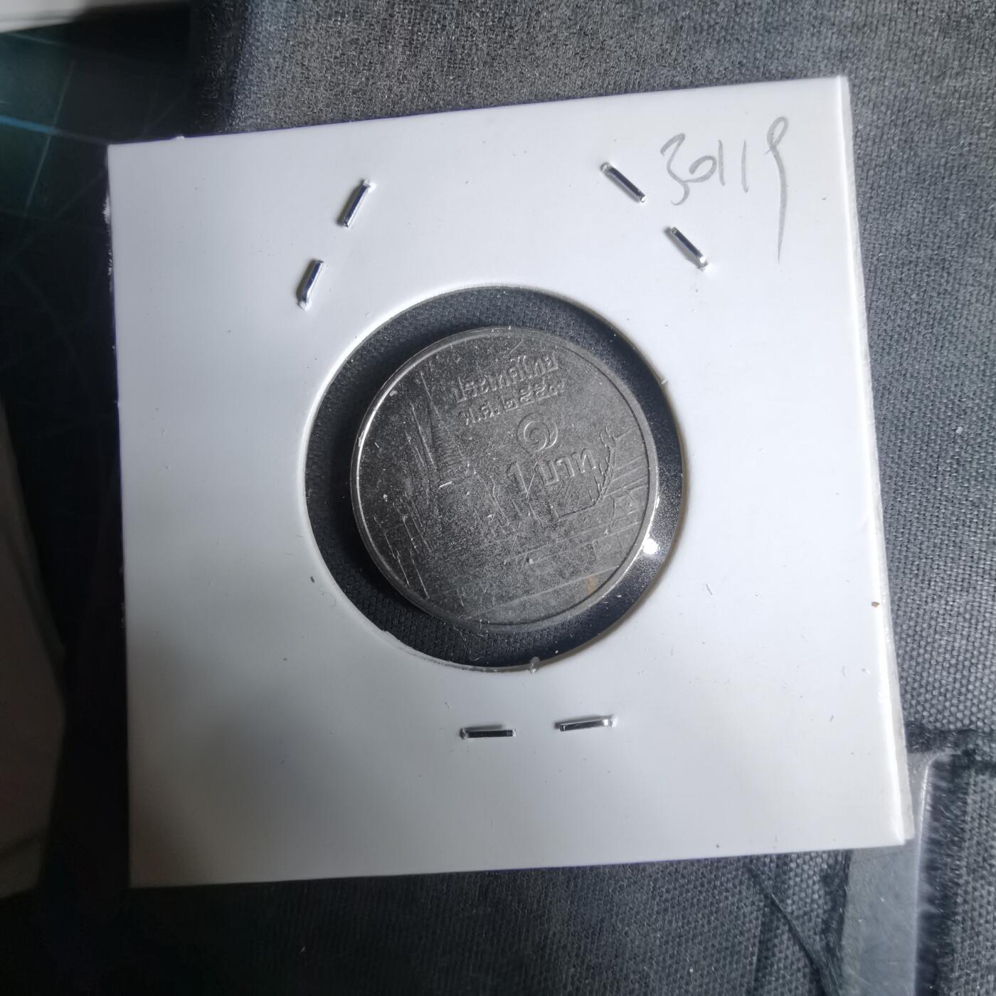 沼泽如烟--第1030场 泰国