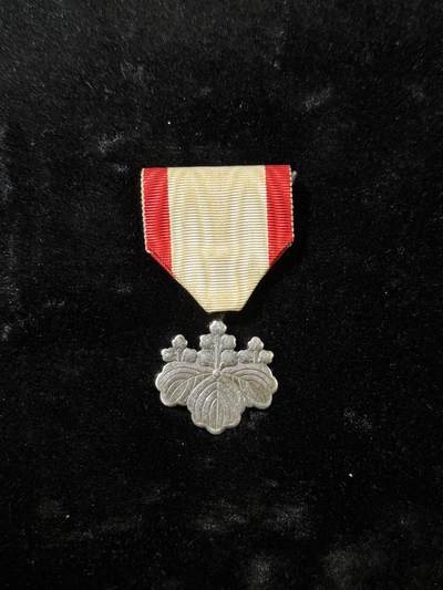 戎马世界章牌大赏，第112期 - 勋八等白叶章