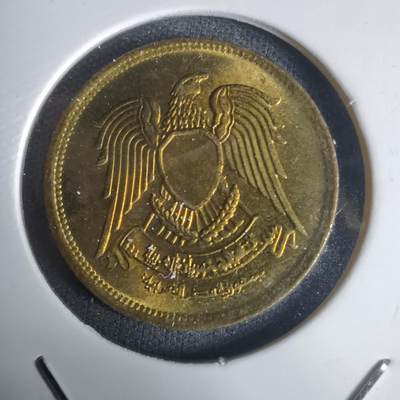 沼泽如烟--第1030场 - 埃及