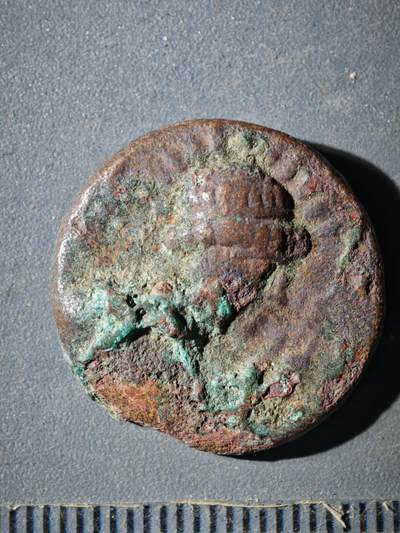 122期新疆红钱粟特钱币丝路钱币专场 - C索特美加斯铜币