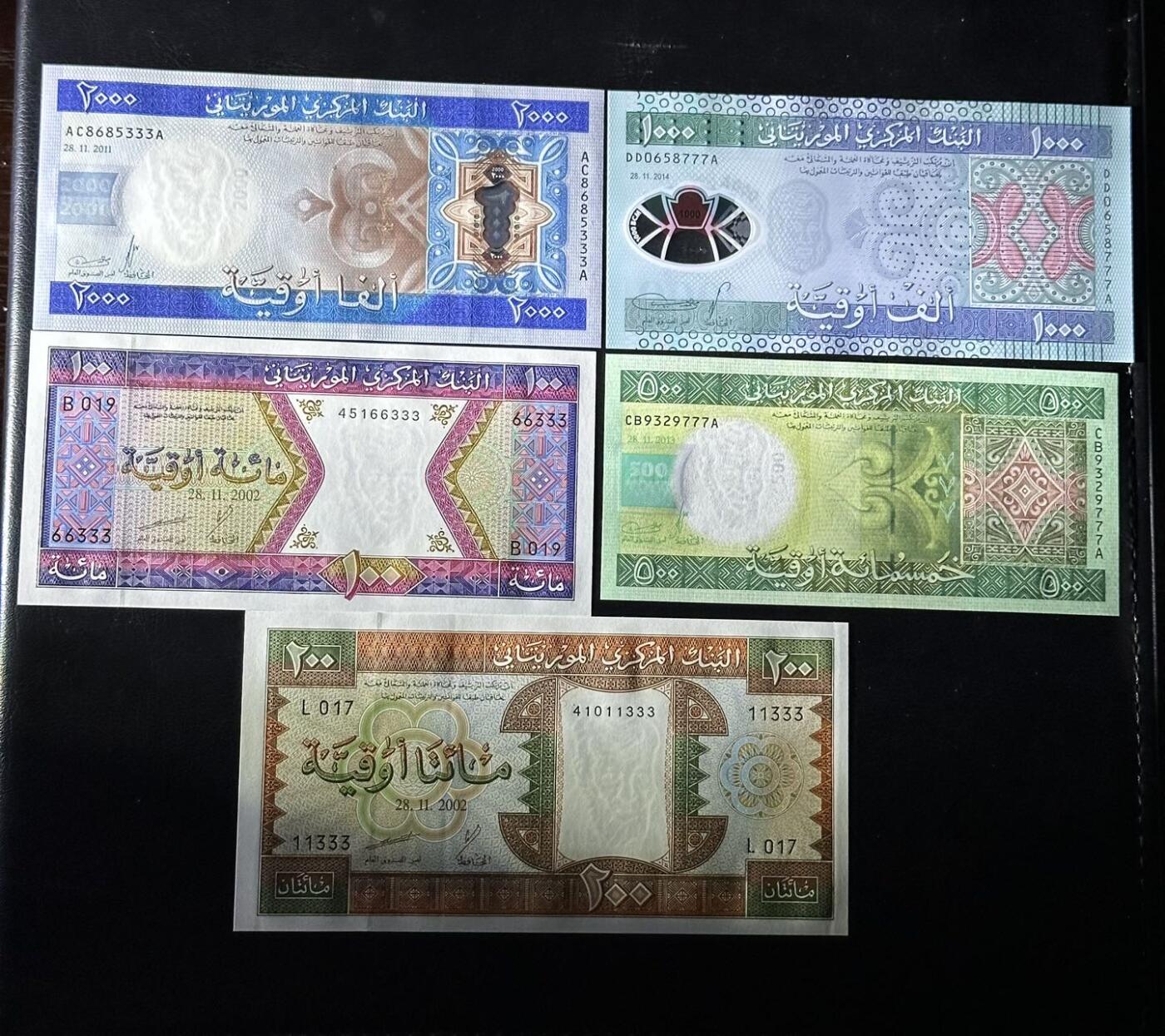 丙午马年三月第四场 。本期更新了大量稀有马剑