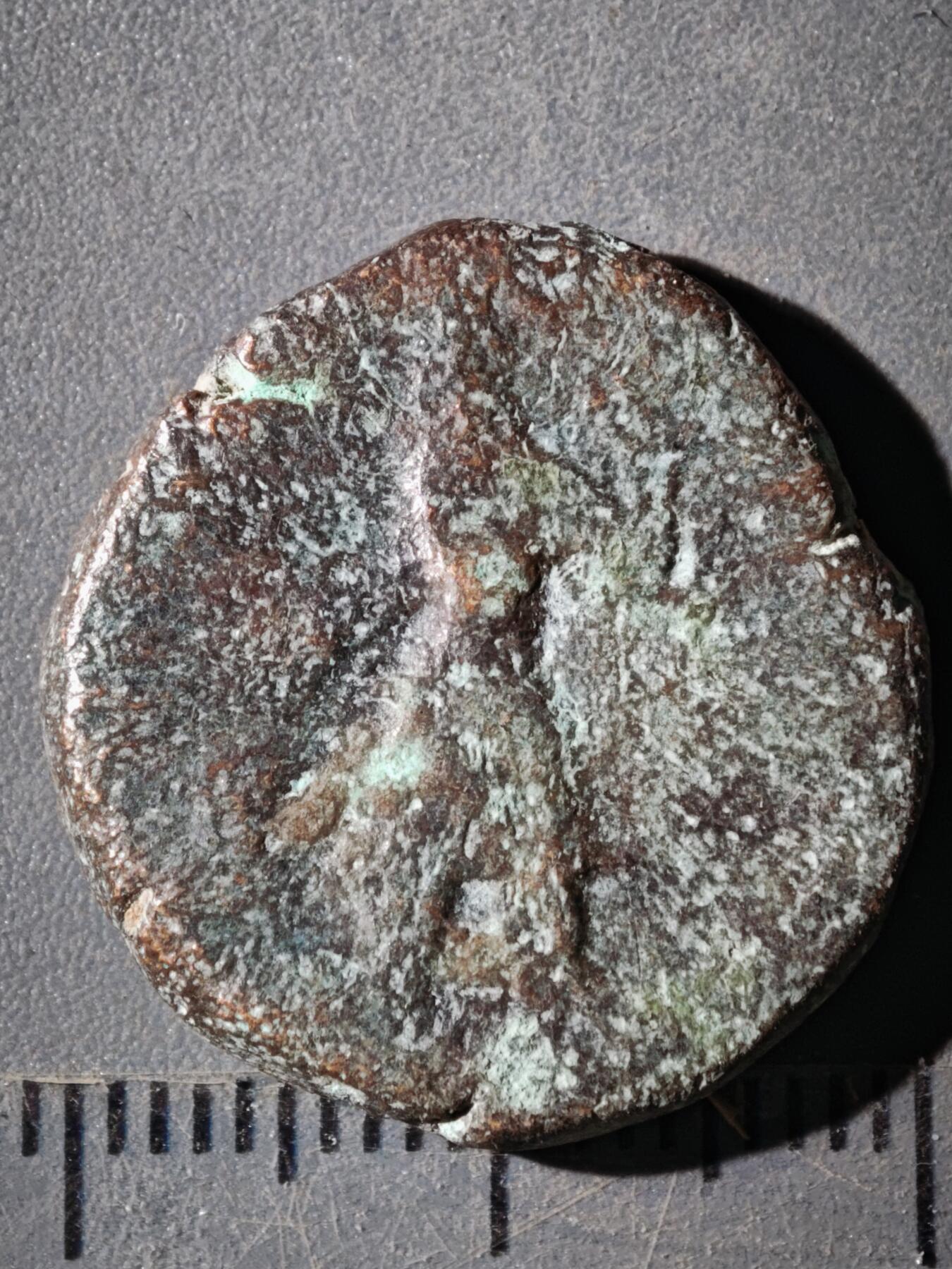 122期新疆红钱粟特钱币丝路钱币专场 F丝路铜币版式