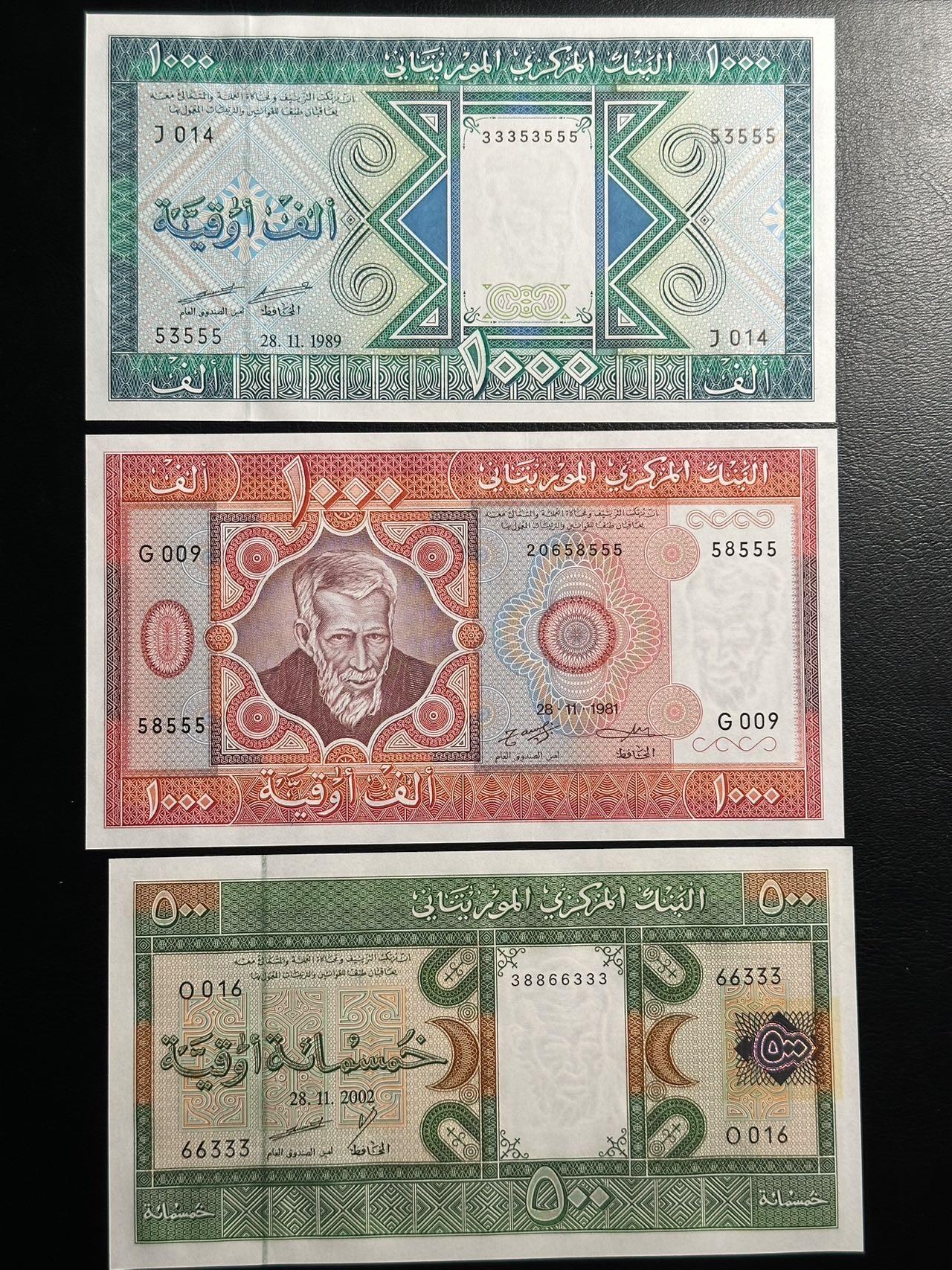 丙午马年三月第四场 。本期更新了大量稀有马剑