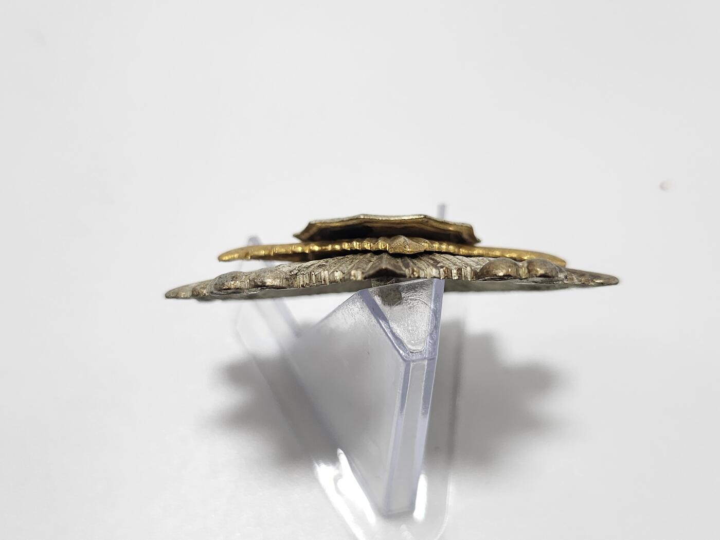 南水社第4次拍卖 