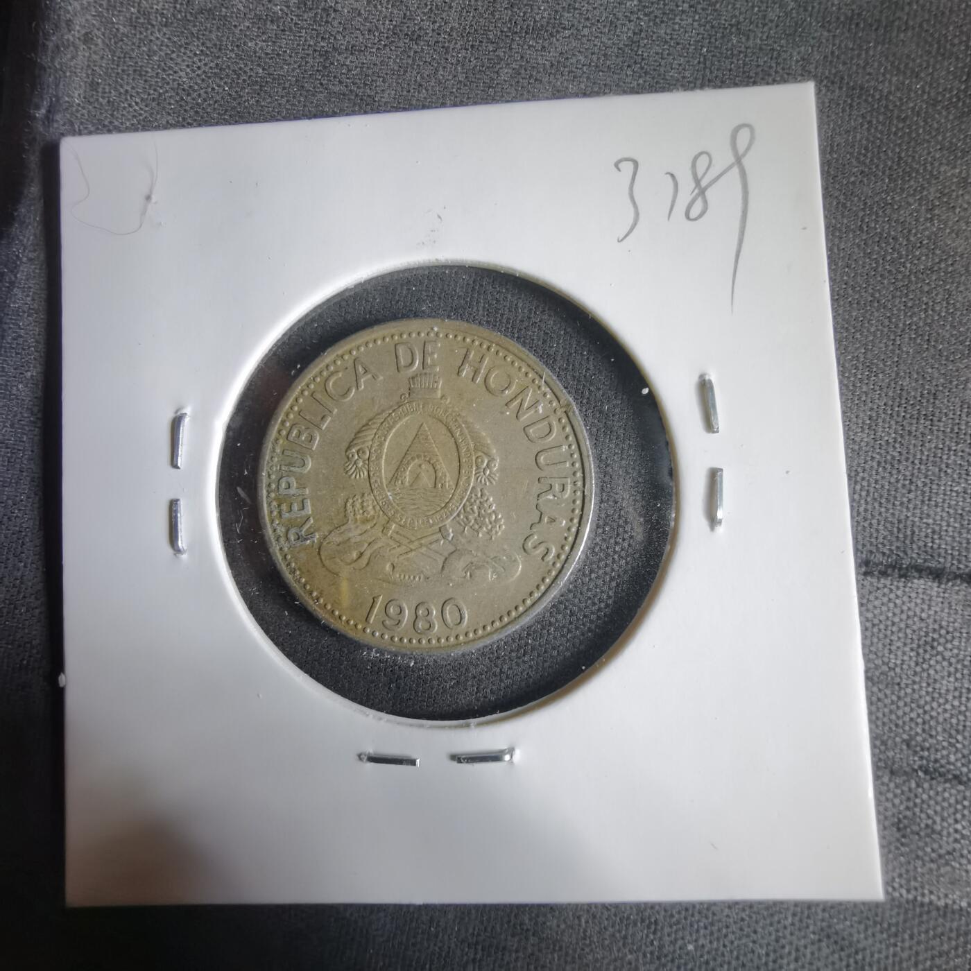 沼泽如烟--第1031场