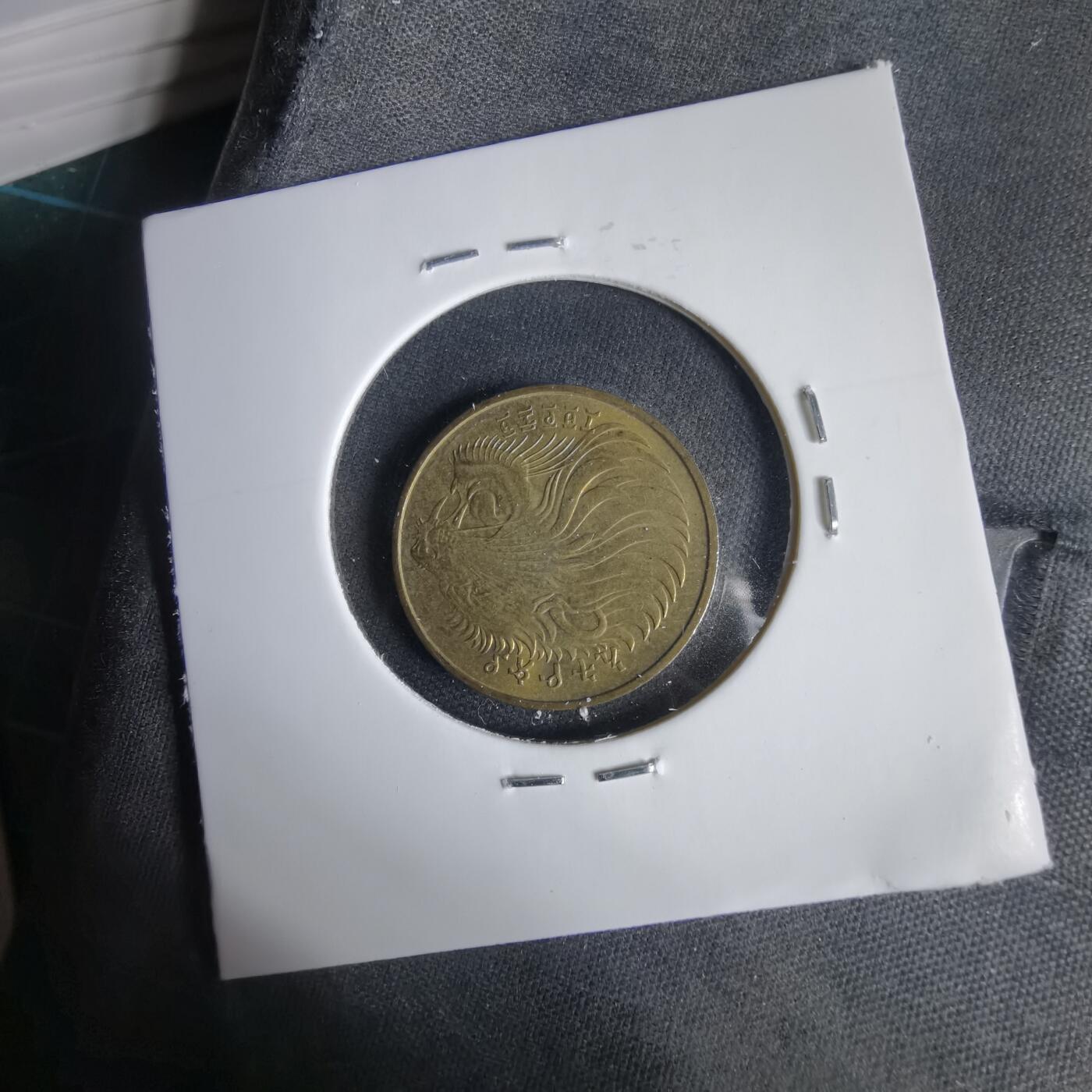 沼泽如烟--第1031场 埃塞俄比亚