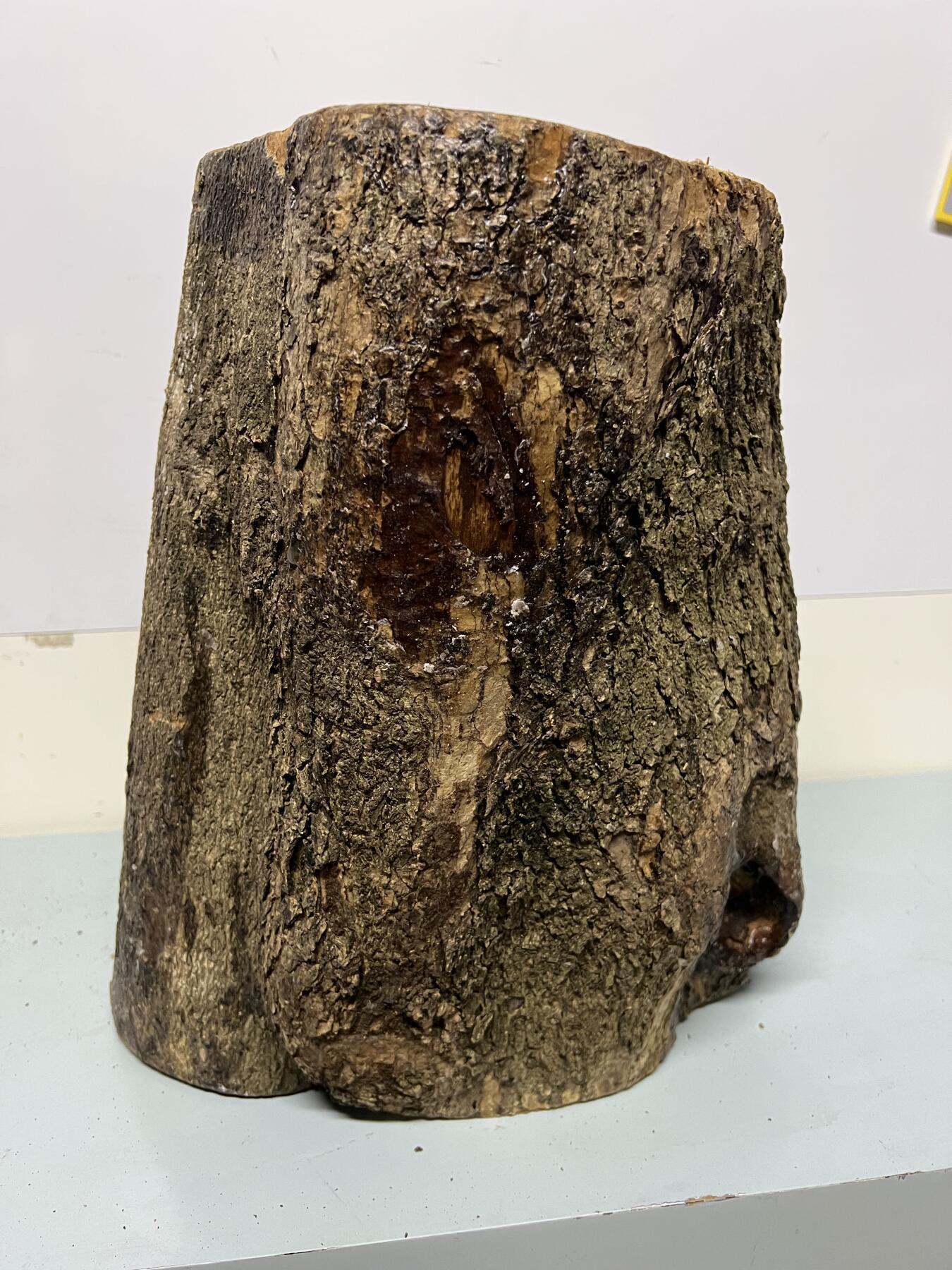 零元拍：金丝楠圆墩凳子摆件，重量11.6公斤。高：320高/285/240MM。