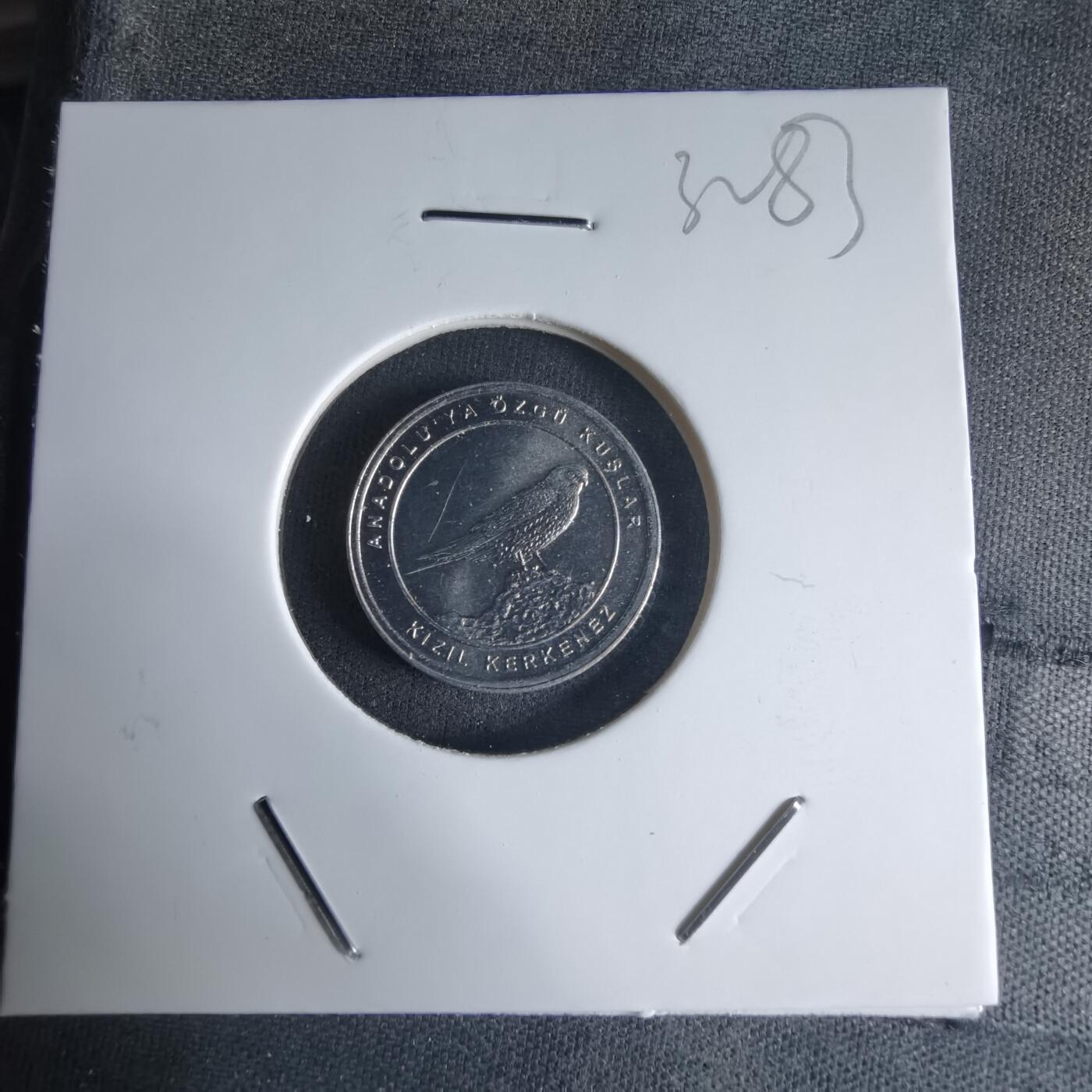 沼泽如烟--第1032场 土耳其小鸟