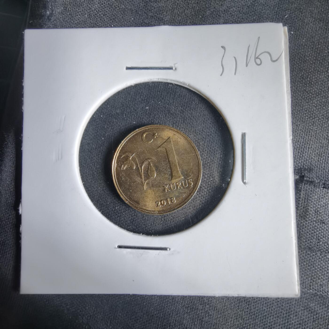 沼泽如烟--第1031场 土耳其2018年1库鲁