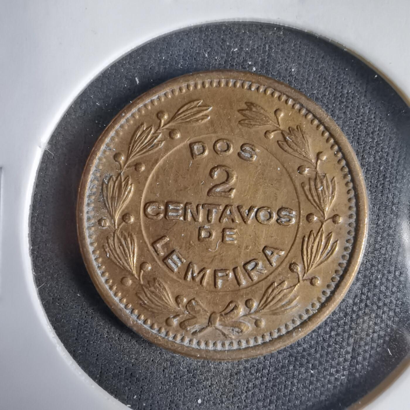 沼泽如烟--第1031场