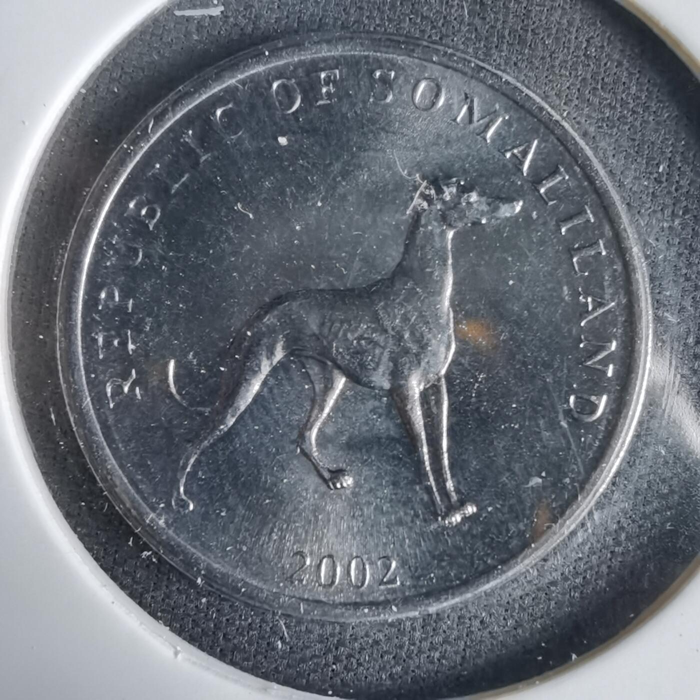 沼泽如烟--第1031场