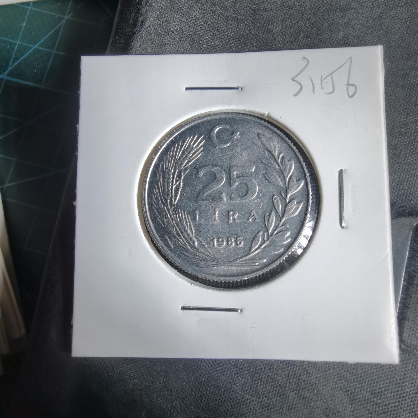 沼泽如烟--第1031场