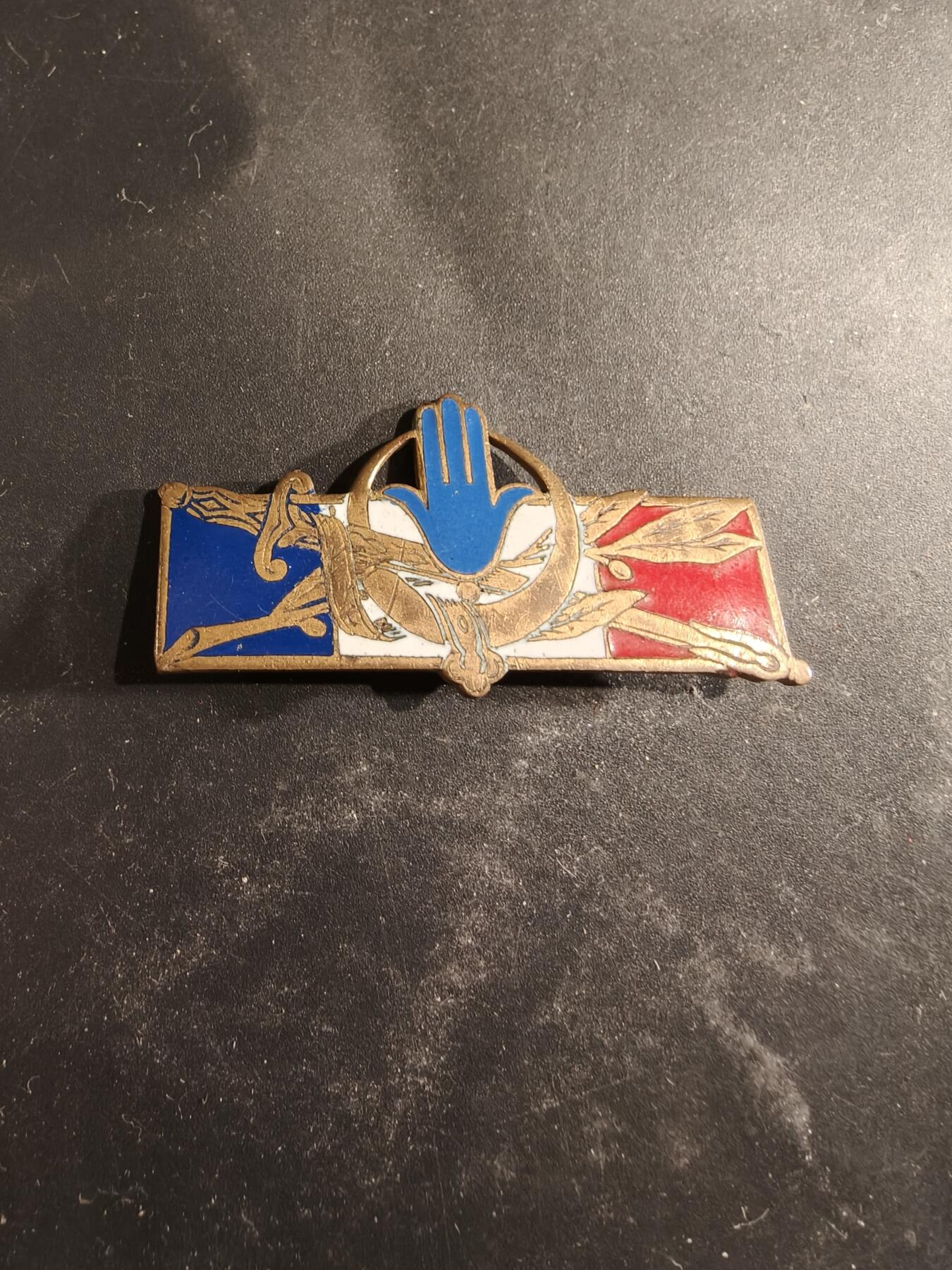 老王徽章第189期 法国阿尔及利亚北非战争老兵证章