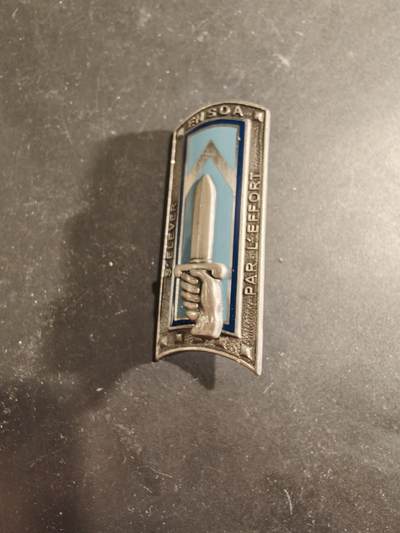 老王徽章第189期 - 法国陆军国家现役士官学校证章       ENSOA 成立于1963 年，位于圣迈克桑特莱科尔（Saint-Maixent-l'École），致力于培训法国陆军的职业士官。 