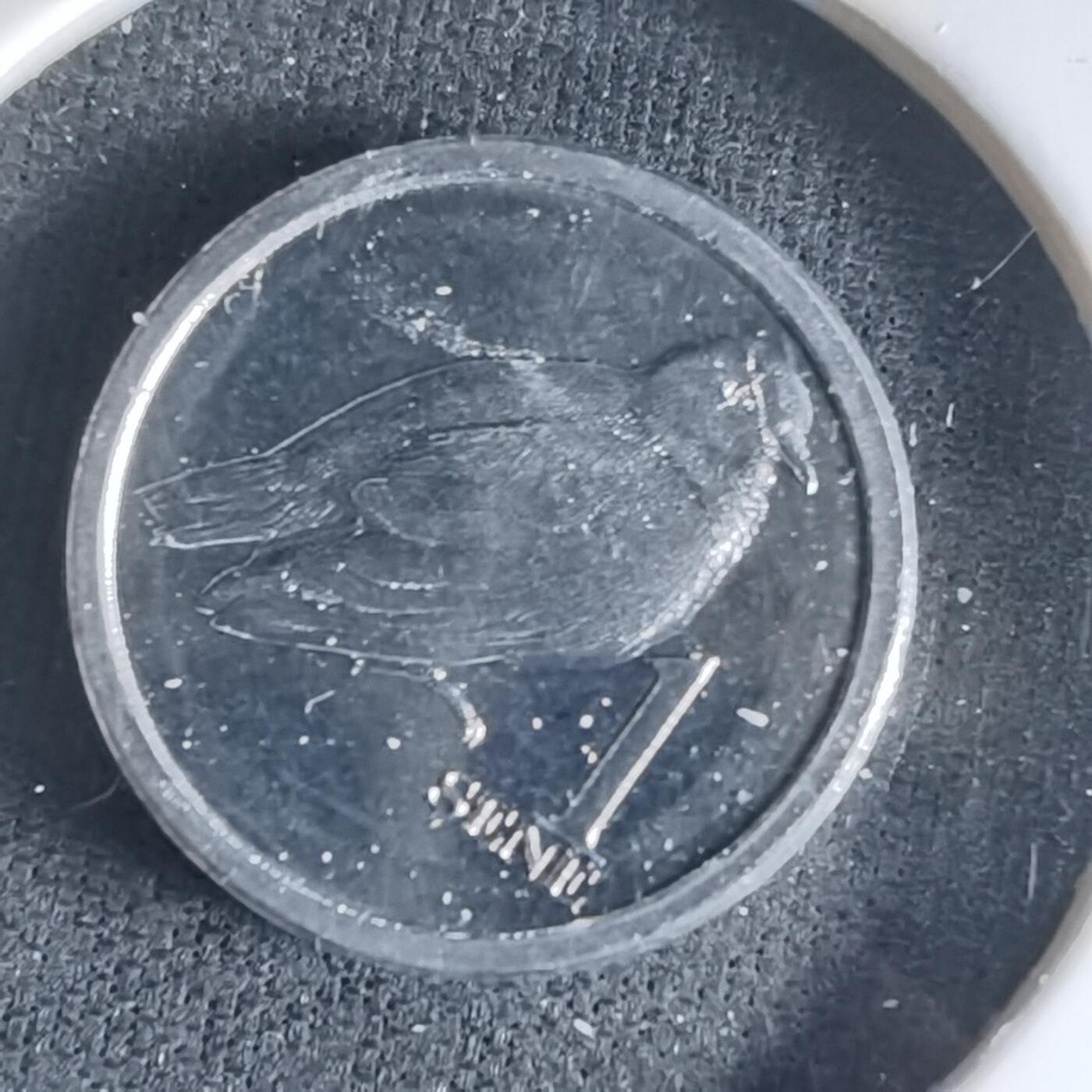 沼泽如烟--第1032场 萨摩亚小鸟