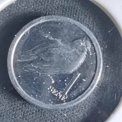 沼泽如烟--第1032场 - 萨摩亚小鸟