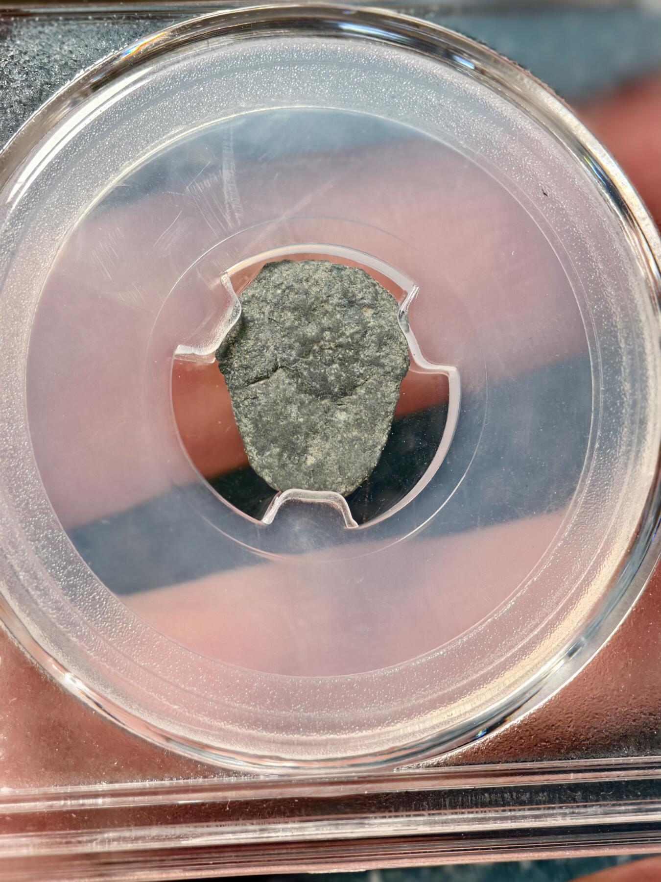 抚柳草堂-第十九期章牌钱币  奖章勋章限时免佣 满百包邮 放漏专场 战国 楚国 蚁鼻钱 闻德评级82分 高古币好品种