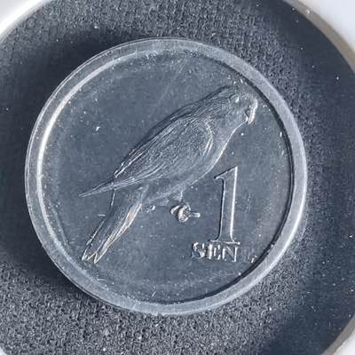 沼泽如烟--第1032场 - 萨摩亚小鸟