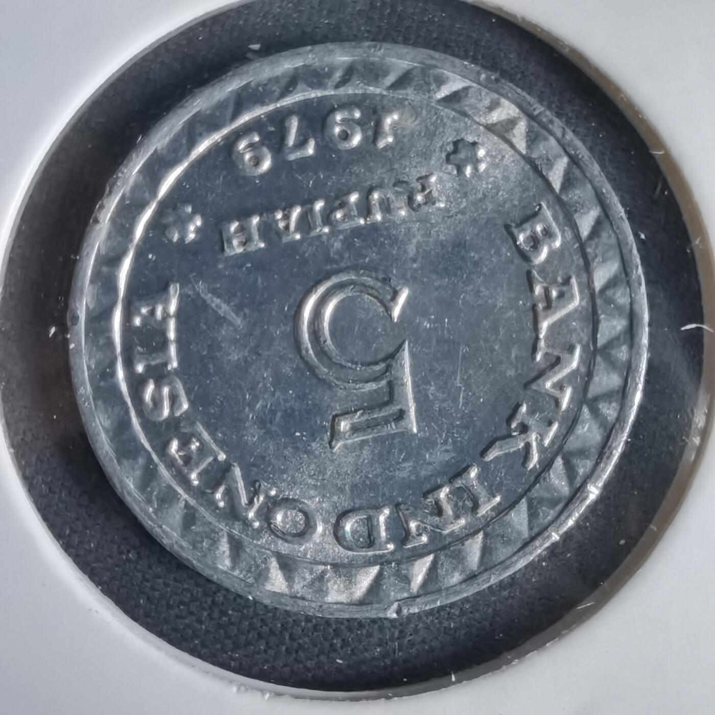 沼泽如烟--第1031场