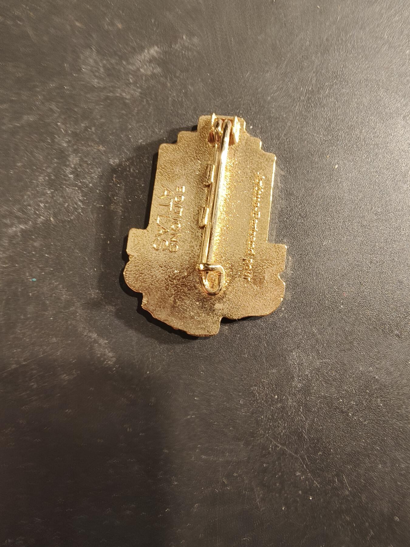 老王徽章第189期 法国外籍军团第13半旅证章