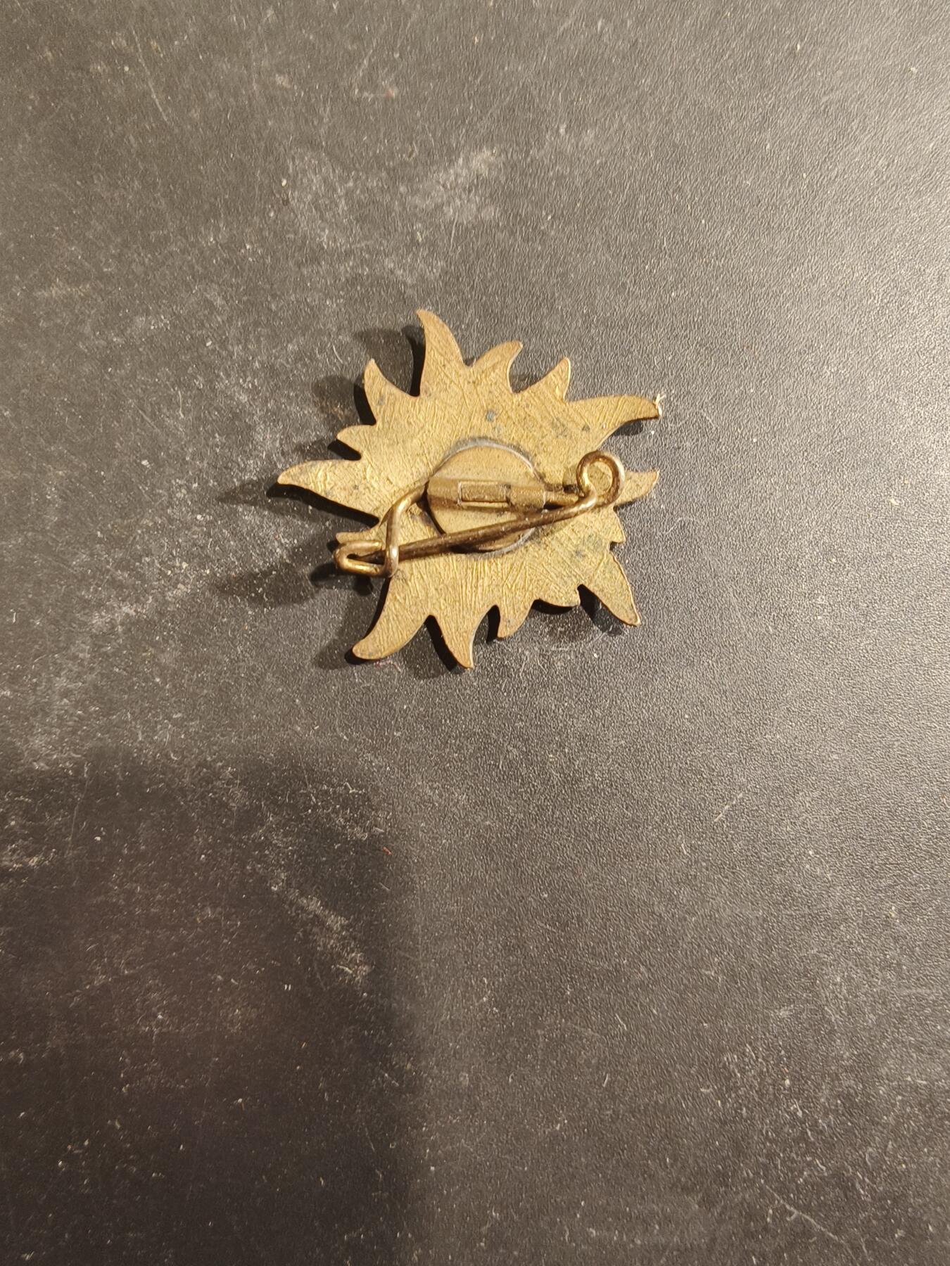 老王徽章第189期 德国红色雪绒花徽章