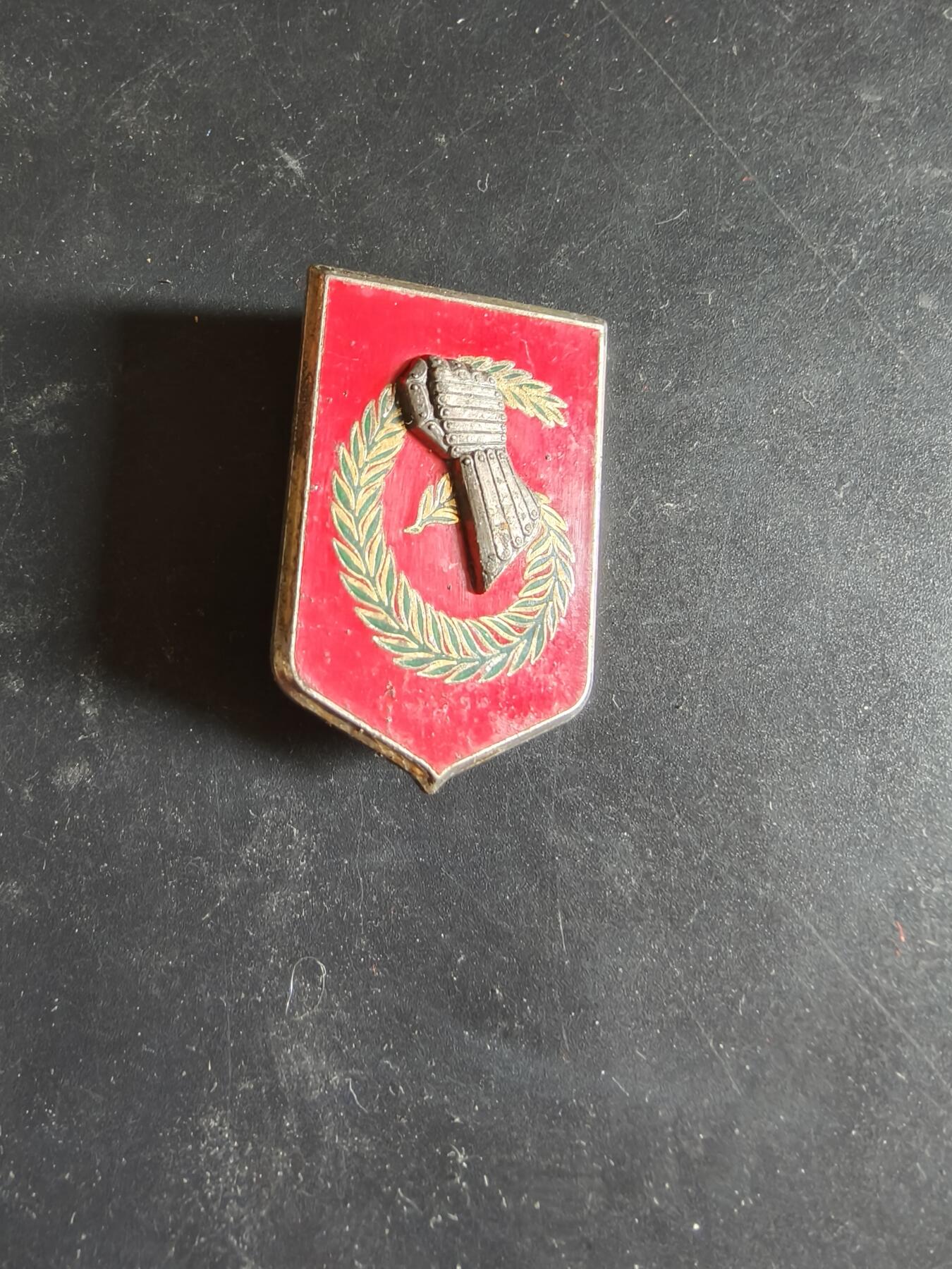 老王徽章第189期