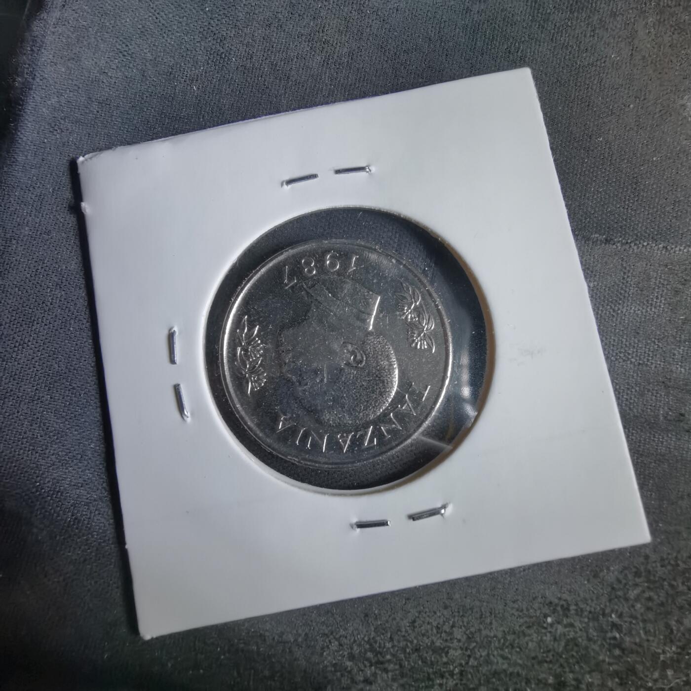 沼泽如烟--第1031场