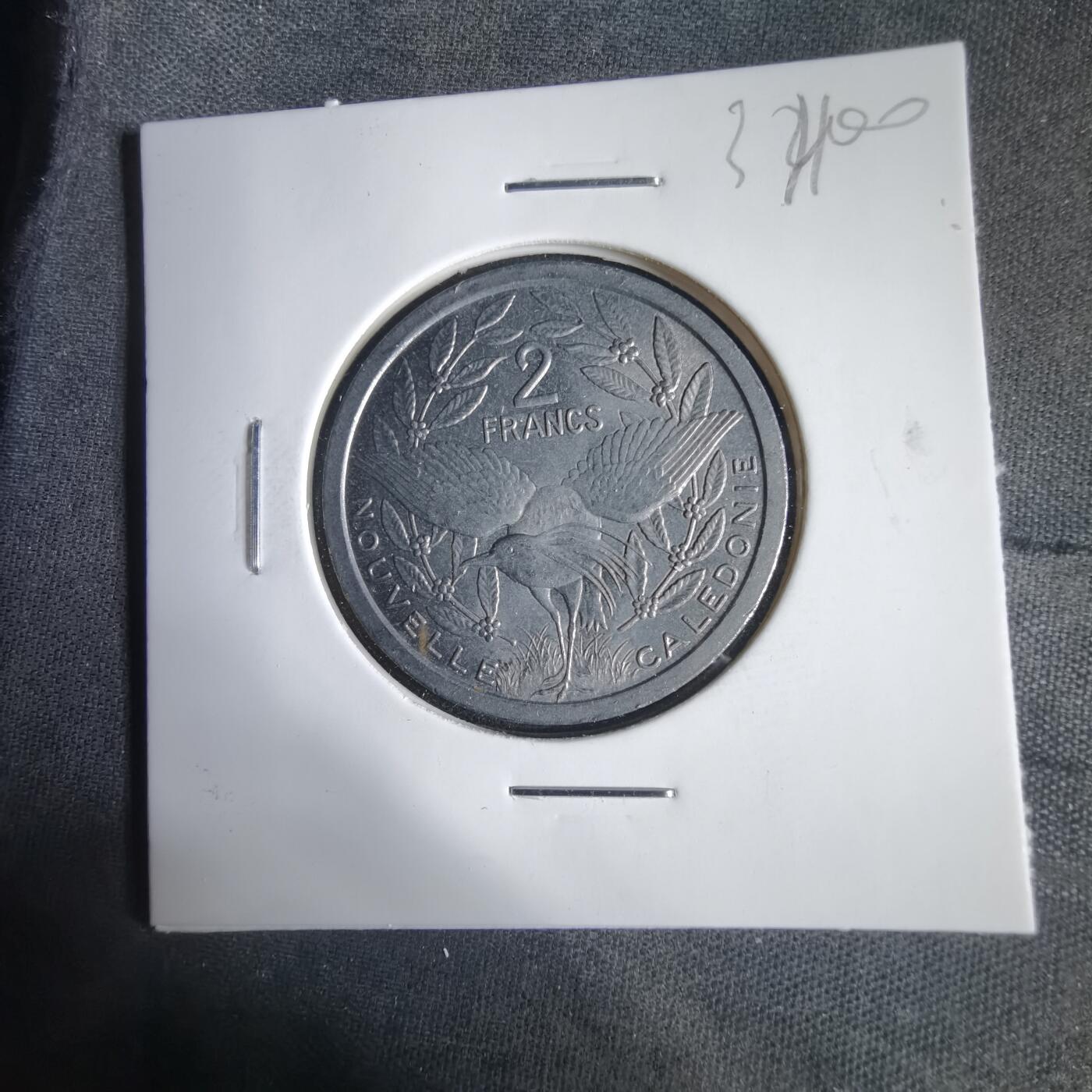 沼泽如烟--第1031场