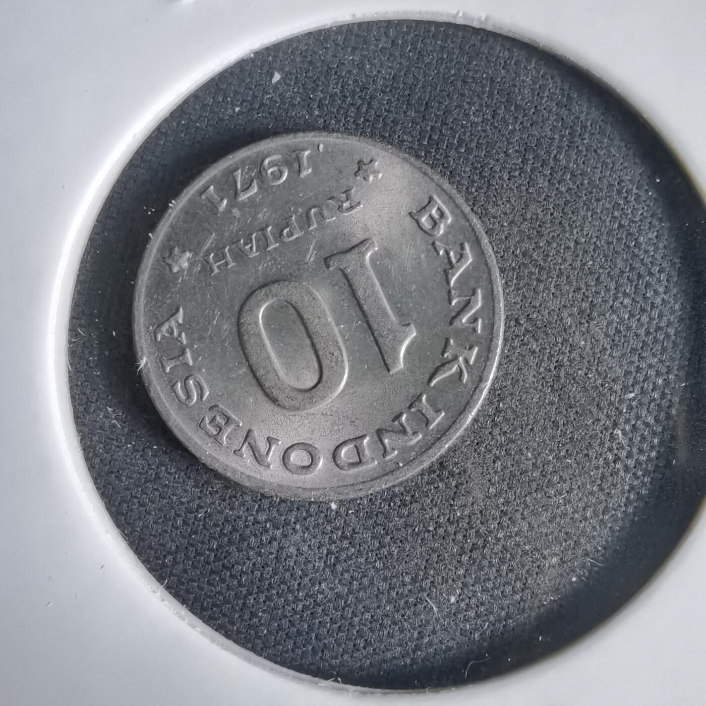 沼泽如烟--第1031场