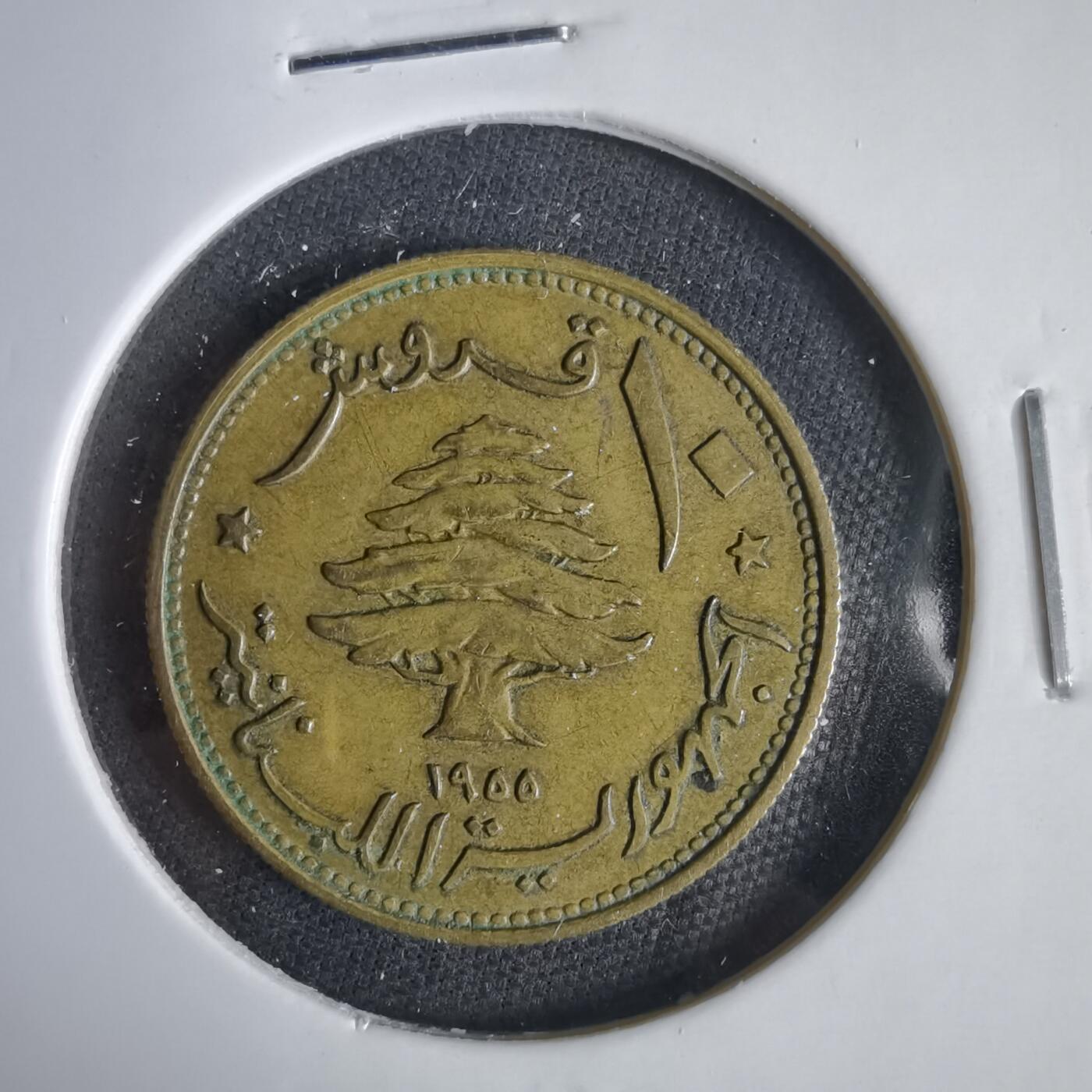 沼泽如烟--第1031场