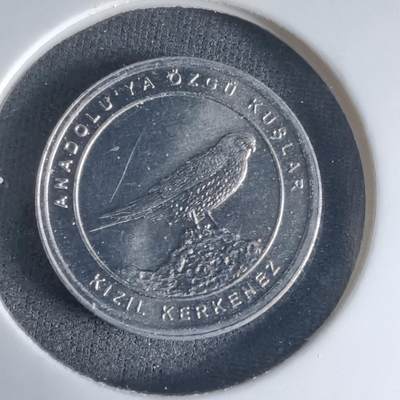 沼泽如烟--第1032场 - 土耳其小鸟