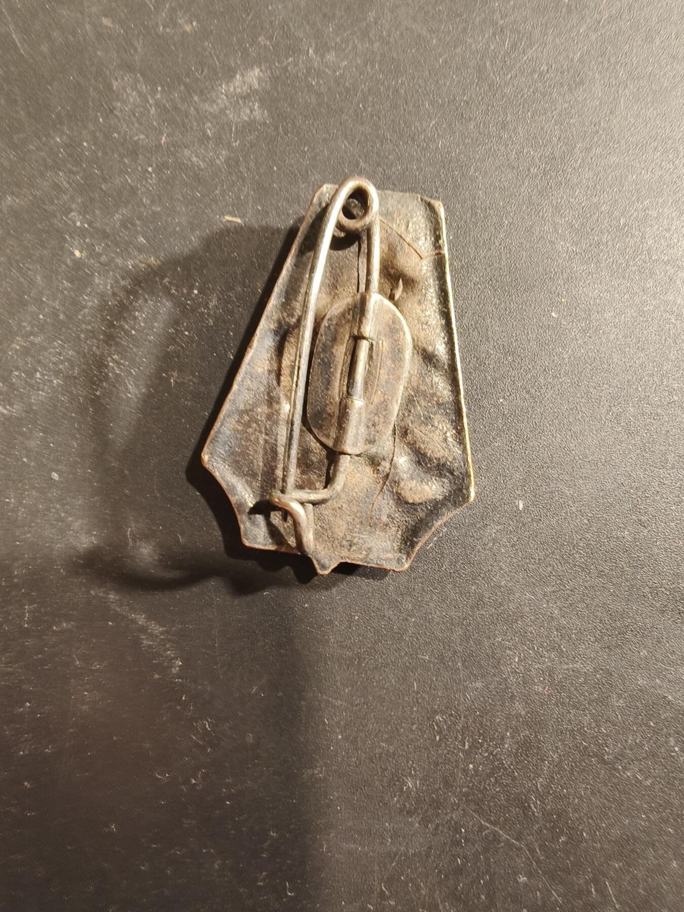 老王徽章第189期 法国阿尔卑斯山地运动中心证章