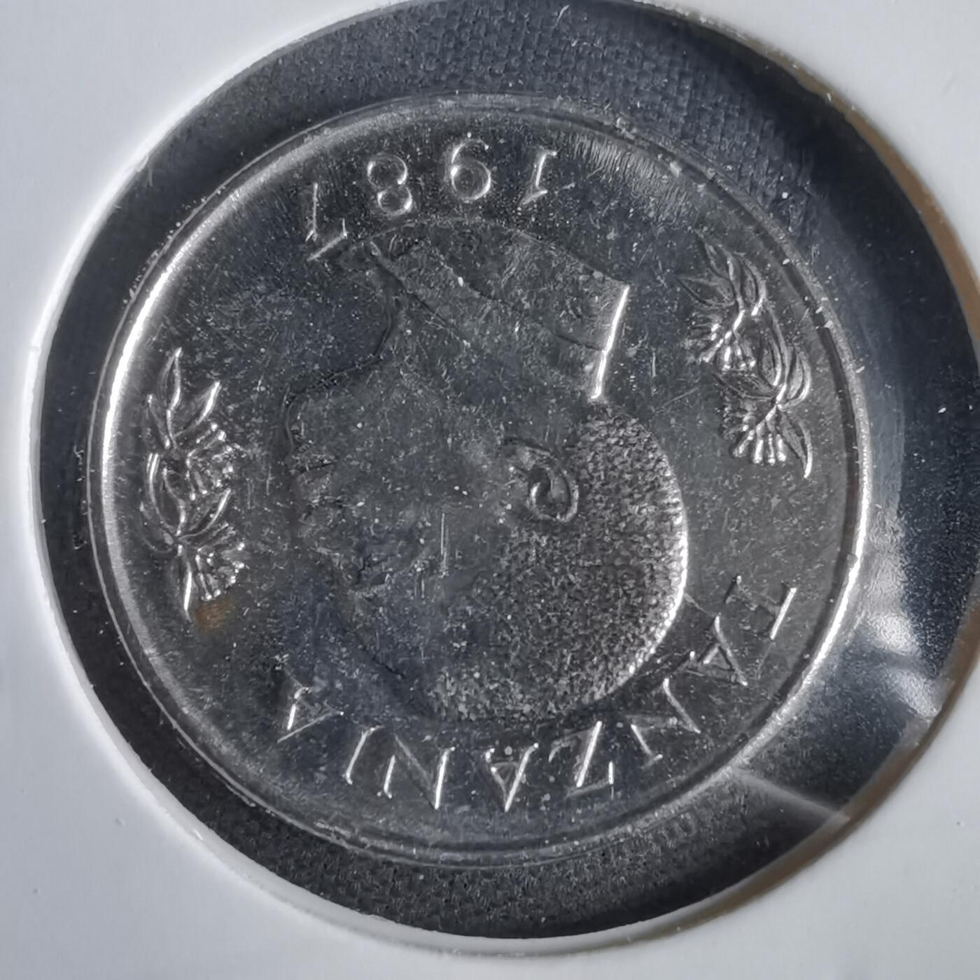 沼泽如烟--第1031场