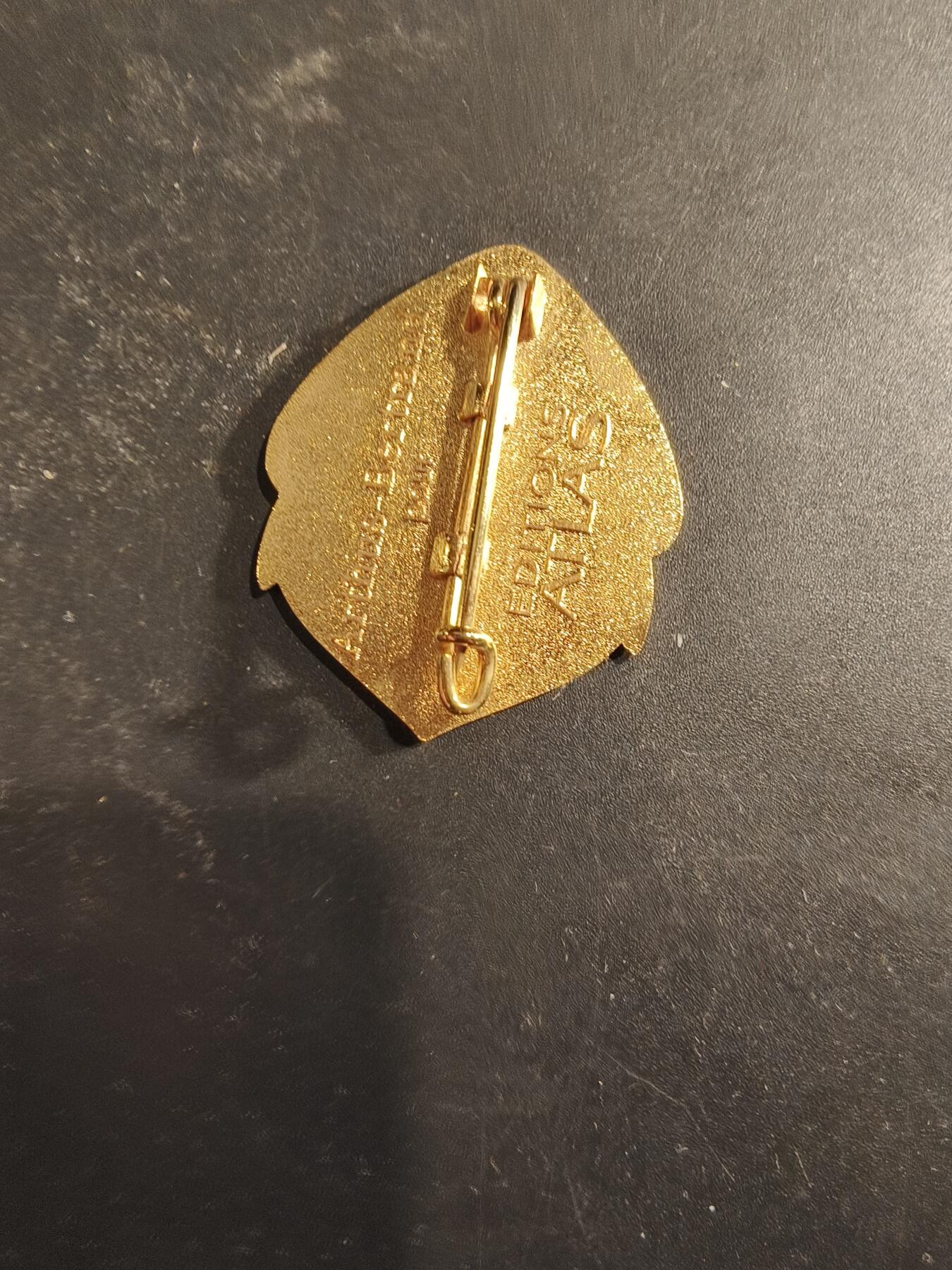 老王徽章第189期 法国陆军乍得挺进团证章     乍得行军团成立于1943年7月，是法国海军陆战队下属的一支机械化步兵部队。该团曾是著名的勒克莱尔第2装甲师的一部分，在二战期间参与了诺曼底登陆及巴黎解放等关键战斗。特别值得一提的是，该团的第九连被称为“La Nueve”，主要由在法作战的西班牙共和派志愿者组成，他们是首批进入巴黎解放现场的盟军士兵之一