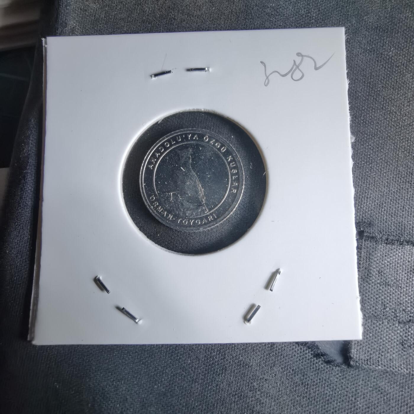 沼泽如烟--第1032场 土耳其小鸟